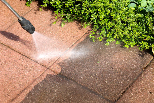 Before and after walkway pressure washing